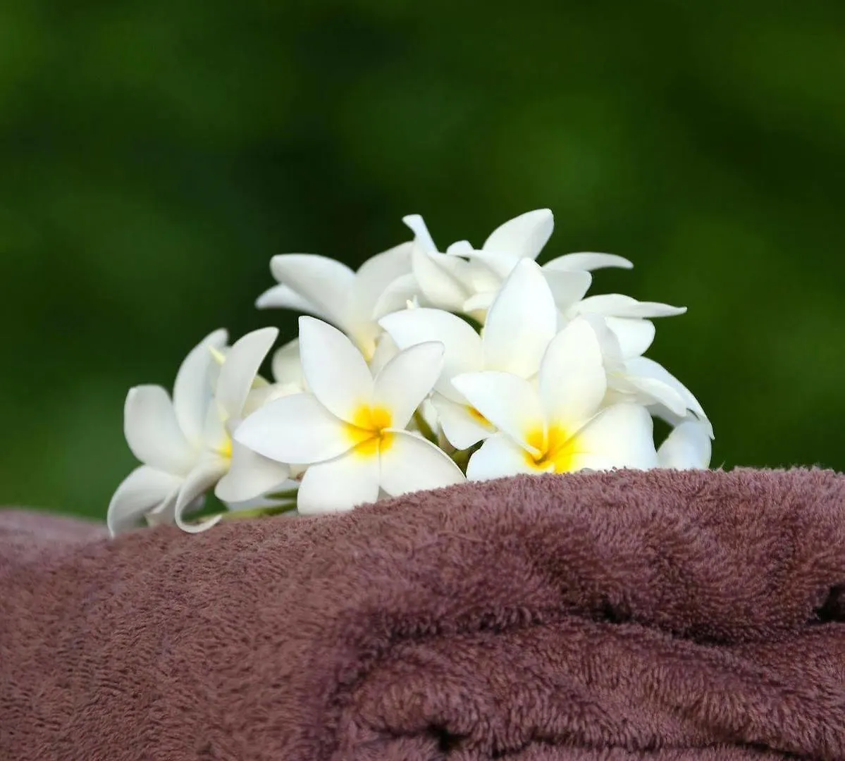 *** Prázdninový areál Residence Pierre & Vacances Premium Les Tamarins Sainte-Anne  Guadeloupe